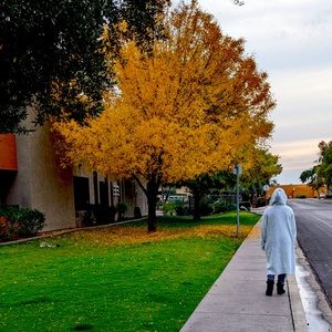 Meet your Posher, Silvia.